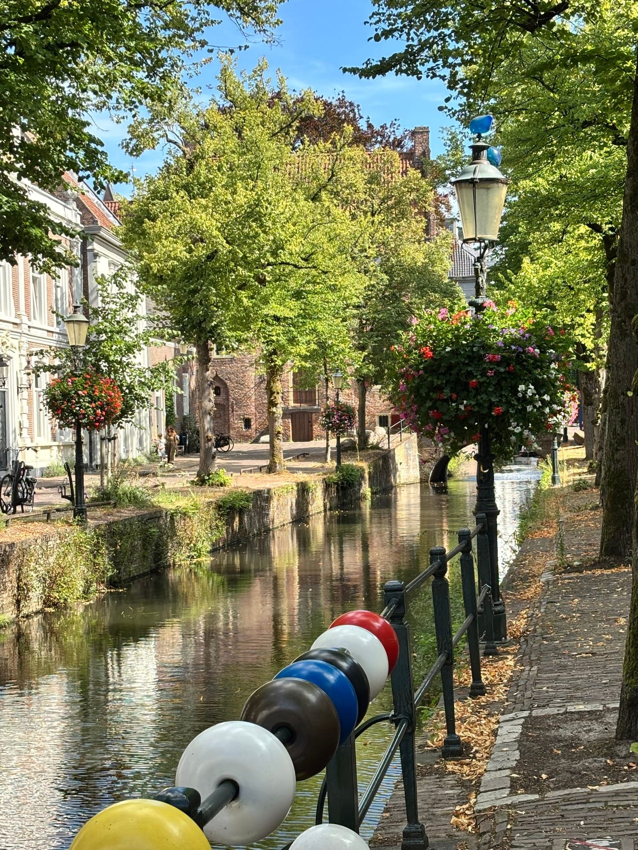 Zomerse gracht met groen en historische gevels