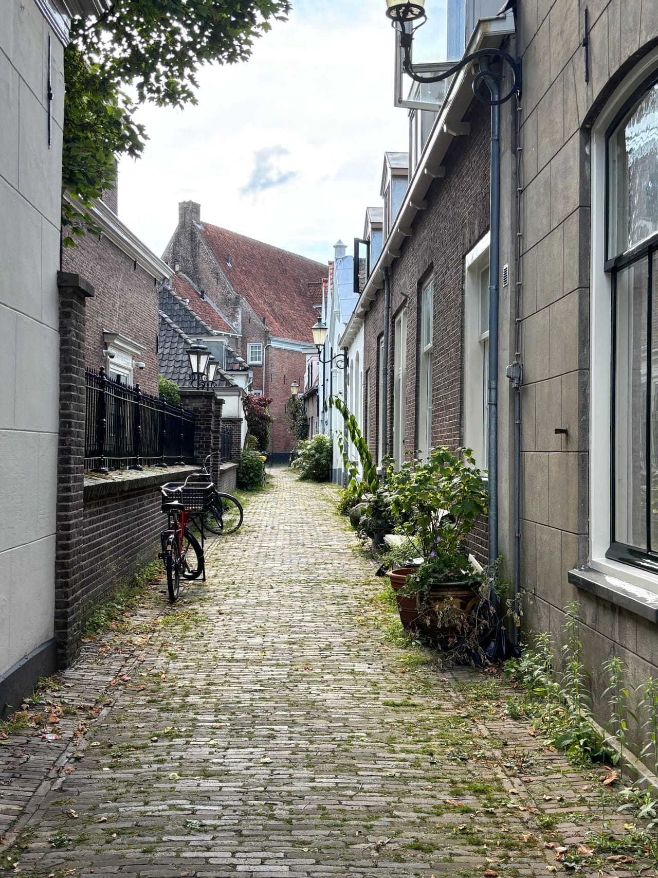 Kasseienstraat met bloembakken en lantaarns